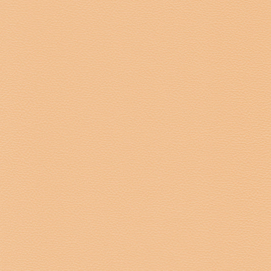 Sierra 136 Blush leather swatch: Peach-toned textured leather sample.