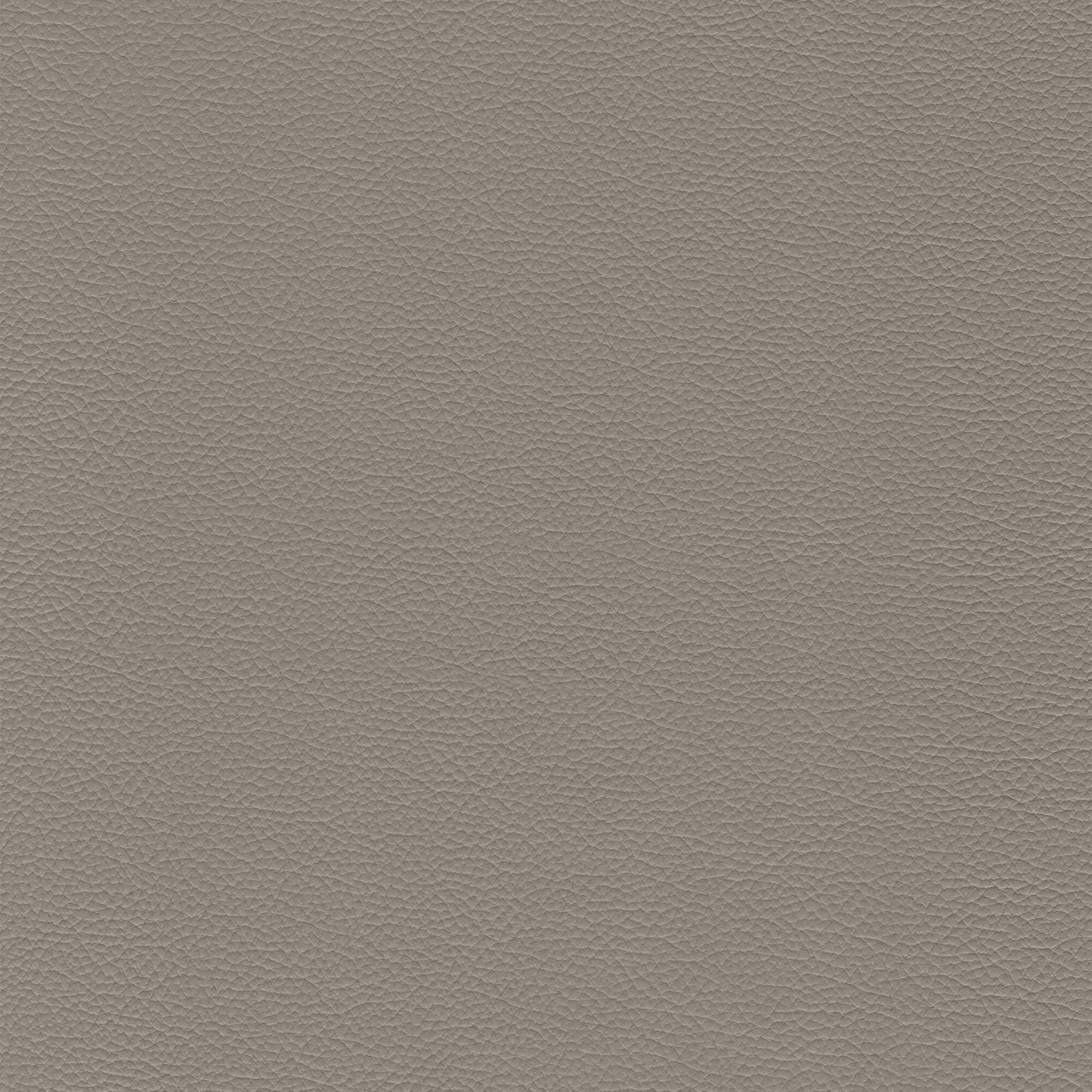 Sierra 145 Eagle leather swatch: textured grey upholstery fabric.