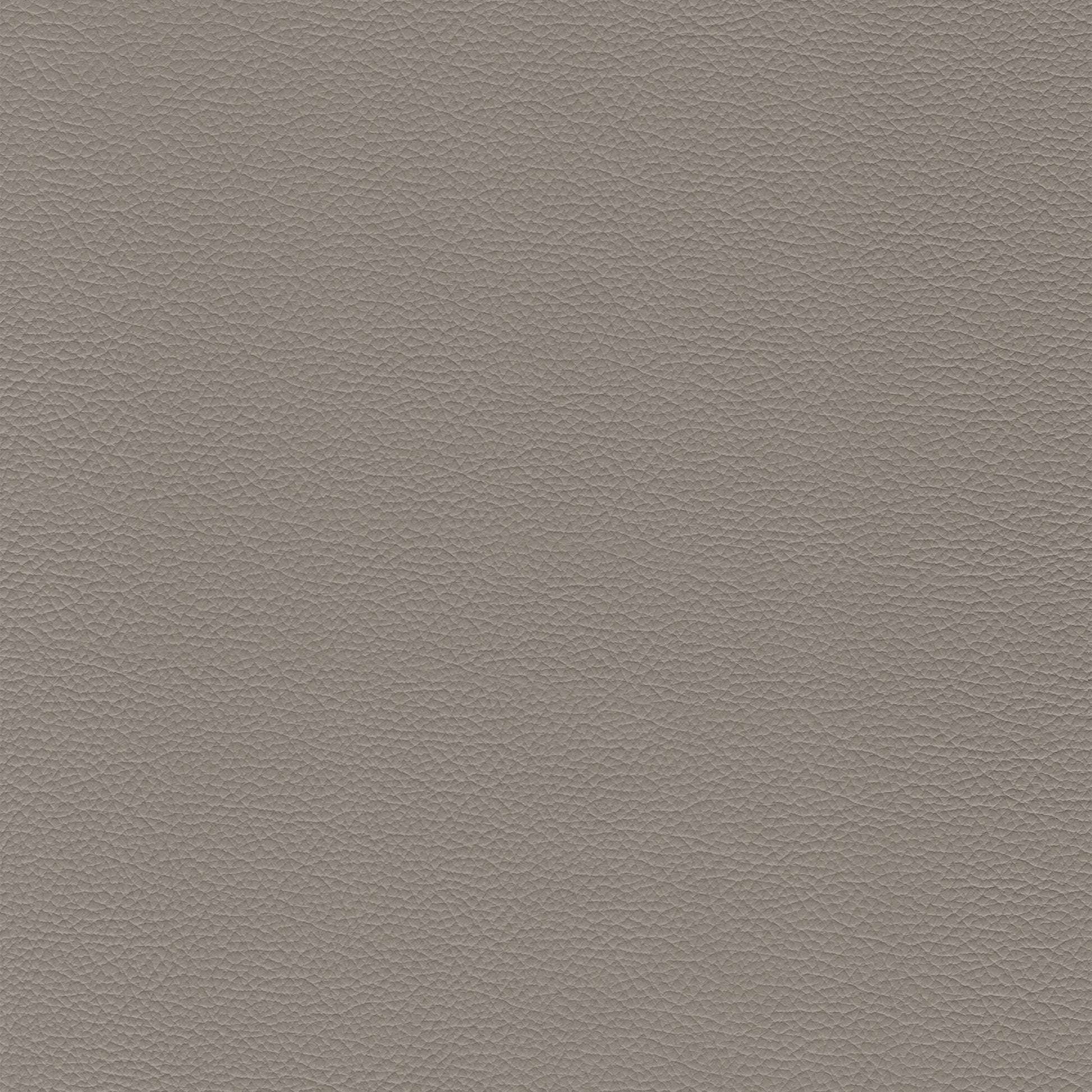 Sierra 145 Eagle leather swatch: textured grey upholstery fabric.