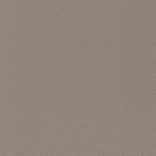 Sierra 145 Eagle leather swatch: textured grey upholstery fabric.