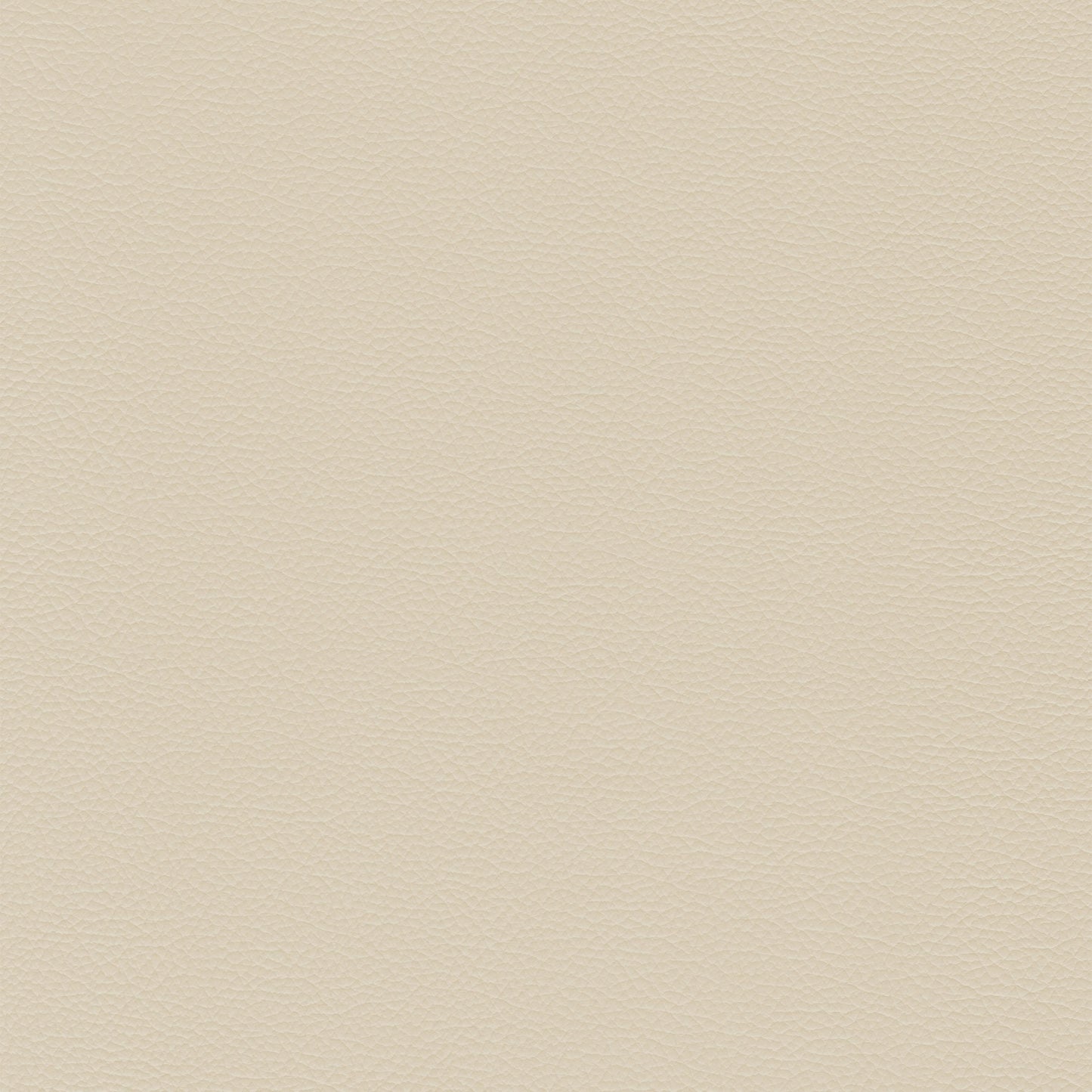 Sierra 158 Piccione leather swatch: creamy off-white, textured grain.