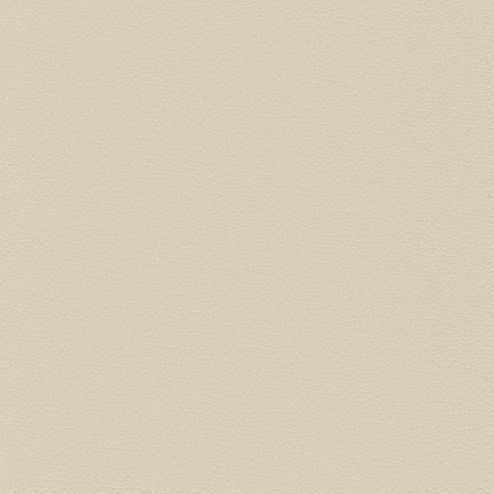 Sierra 158 Piccione leather swatch: creamy off-white, textured grain.