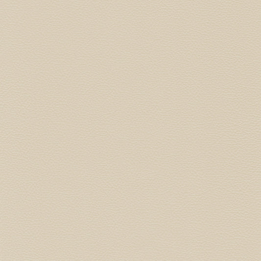 Sierra 158 Piccione leather swatch: creamy off-white, textured grain.