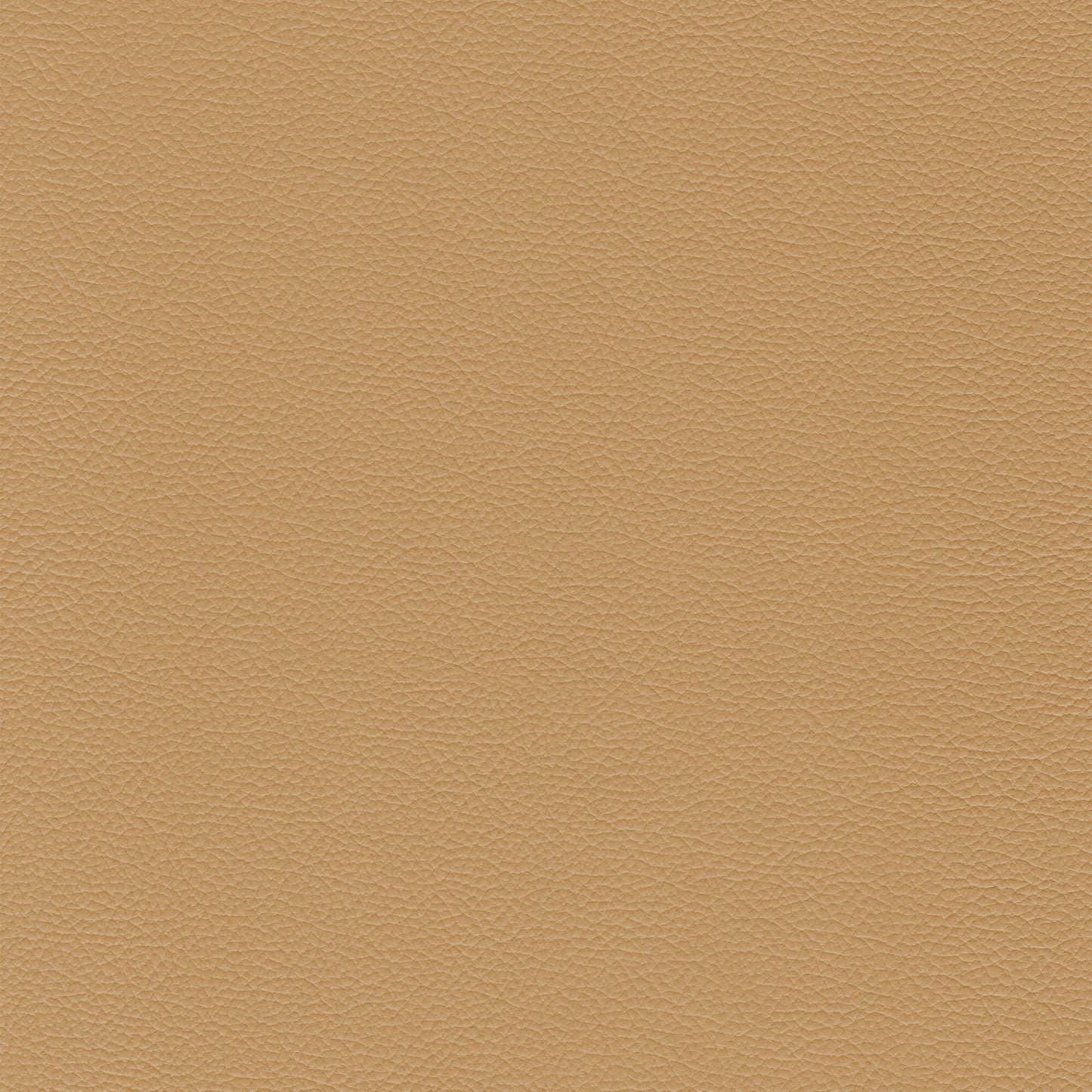 Sierra 196 Straw: Light beige textured leather swatch.