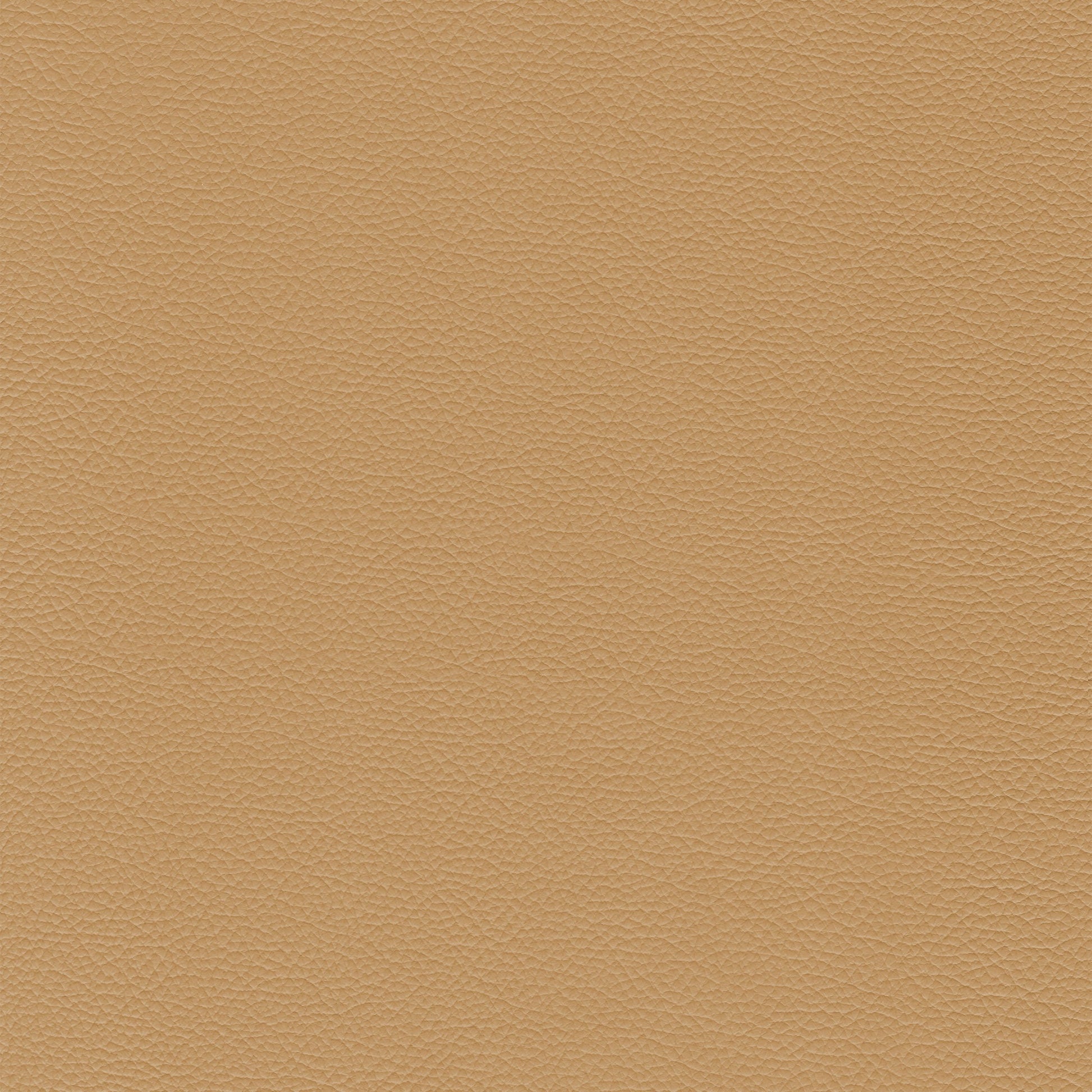 Sierra 196 Straw: Light beige textured leather swatch.