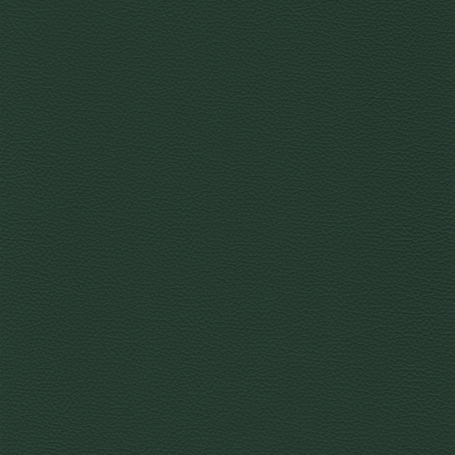 Sierra 301 Forest: Deep forest green textured leather swatch.