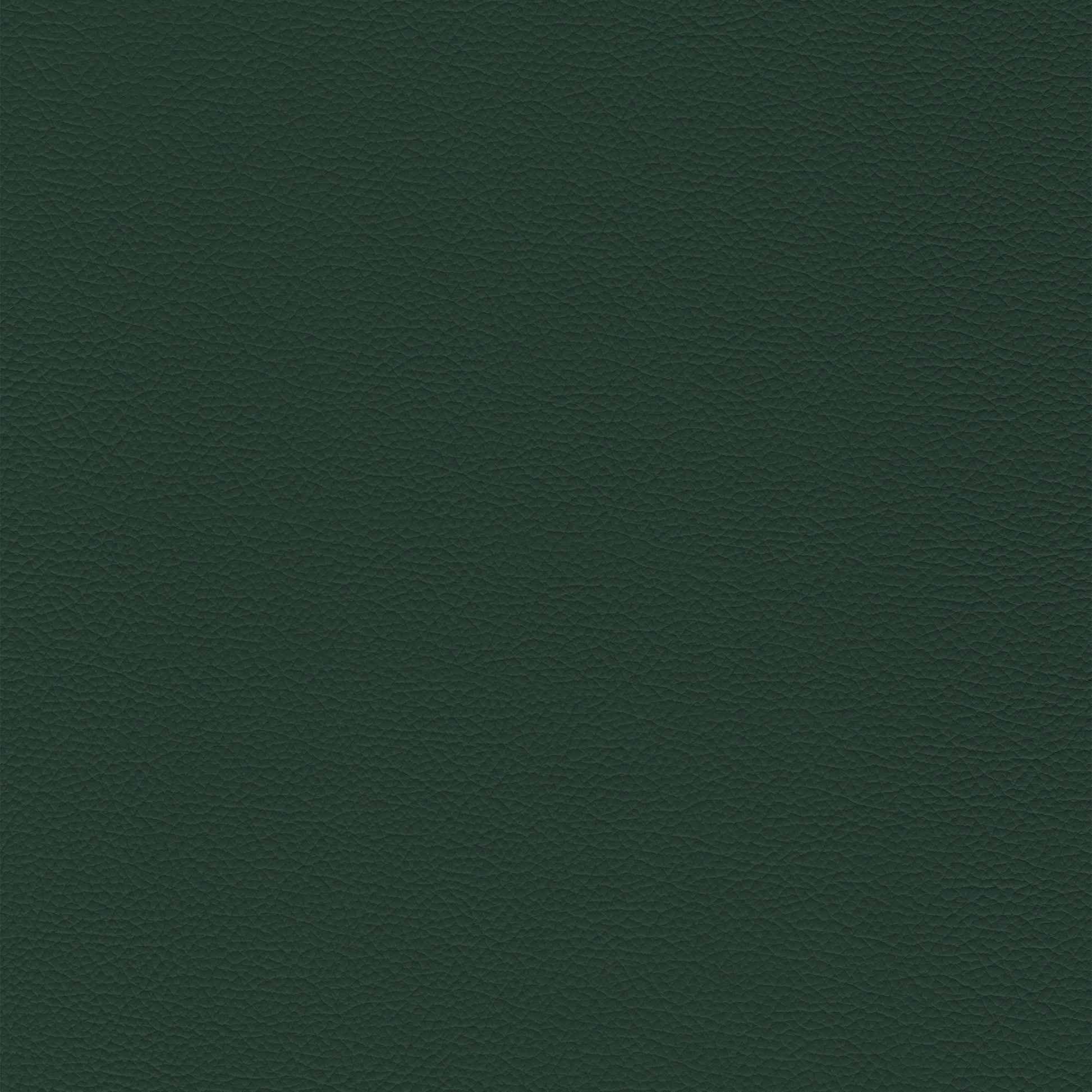 Sierra 301 Forest: Deep forest green textured leather swatch.