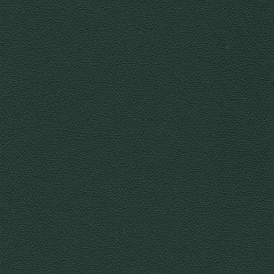 Sierra 301 Forest: Deep forest green textured leather swatch.