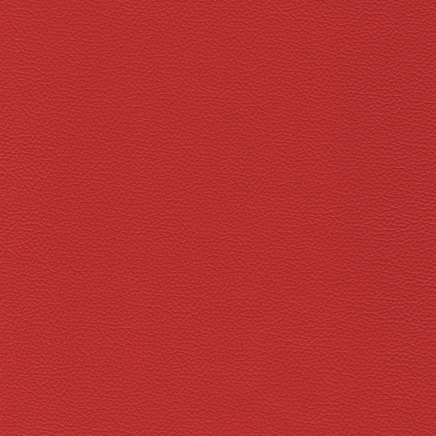 Sierra 304 Lipstick: Rich red textured lipstick swatch.