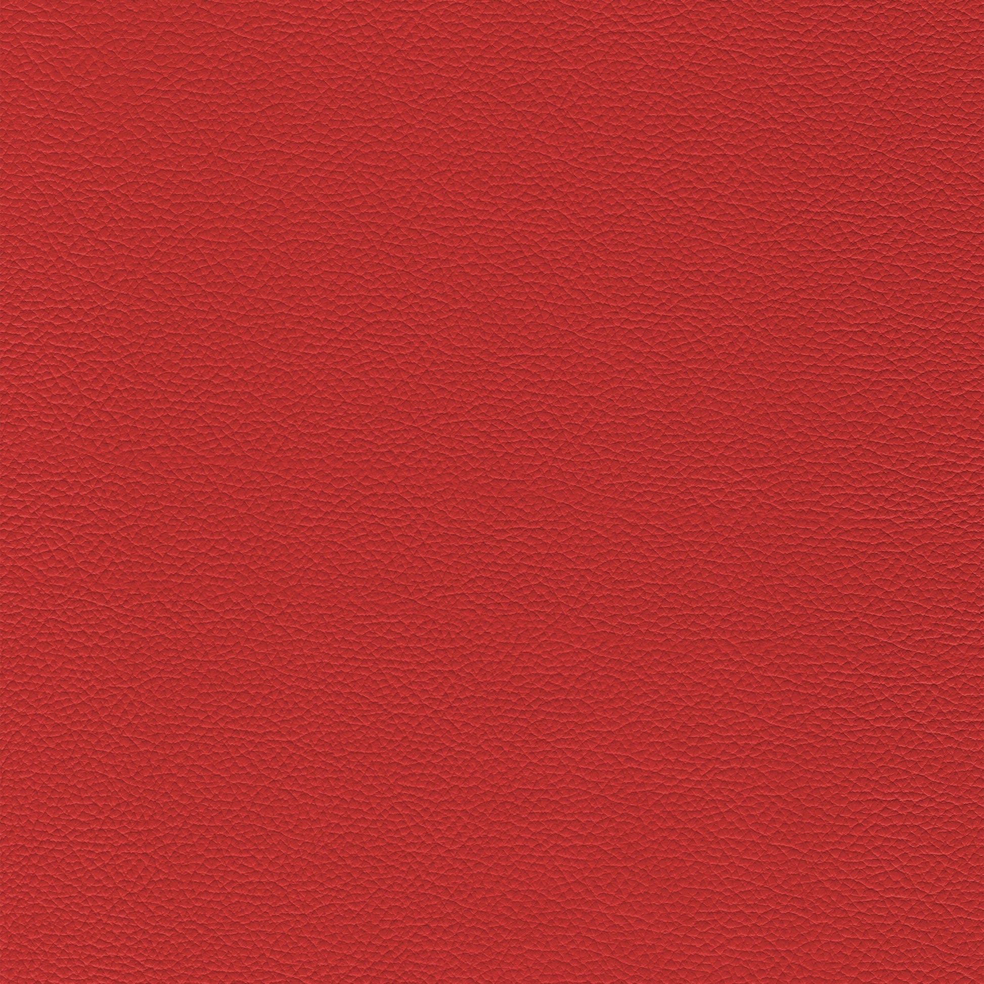 Sierra 304 Lipstick: Rich red textured lipstick swatch.