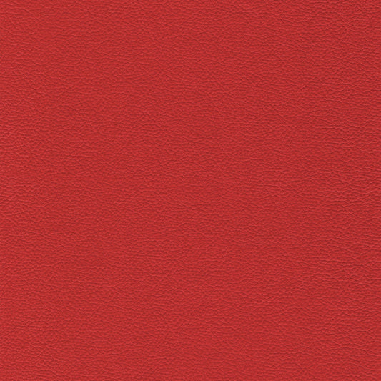 Sierra 304 Lipstick: Rich red textured lipstick swatch.