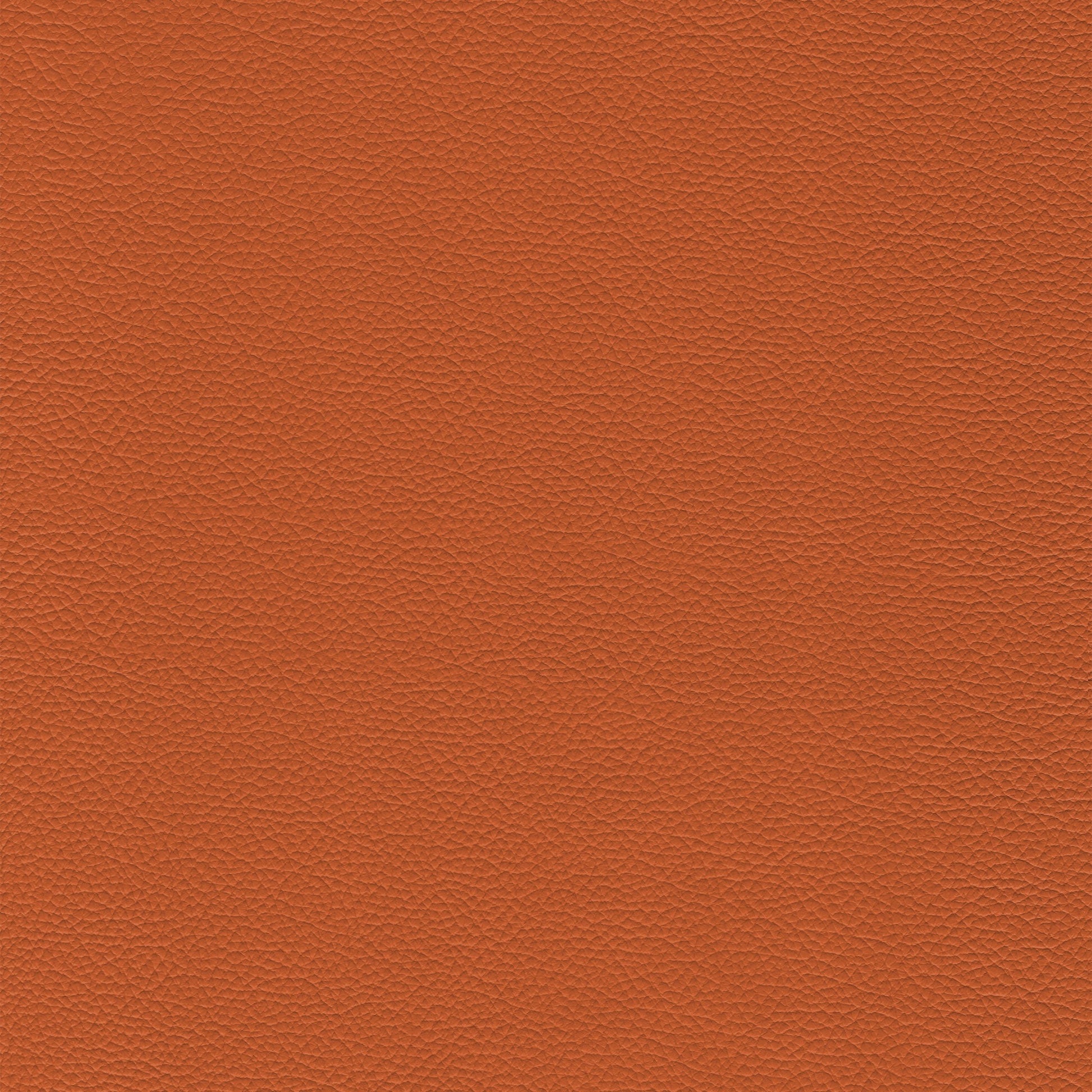 Sierra 305 Harvest textured leather swatch in burnt orange.