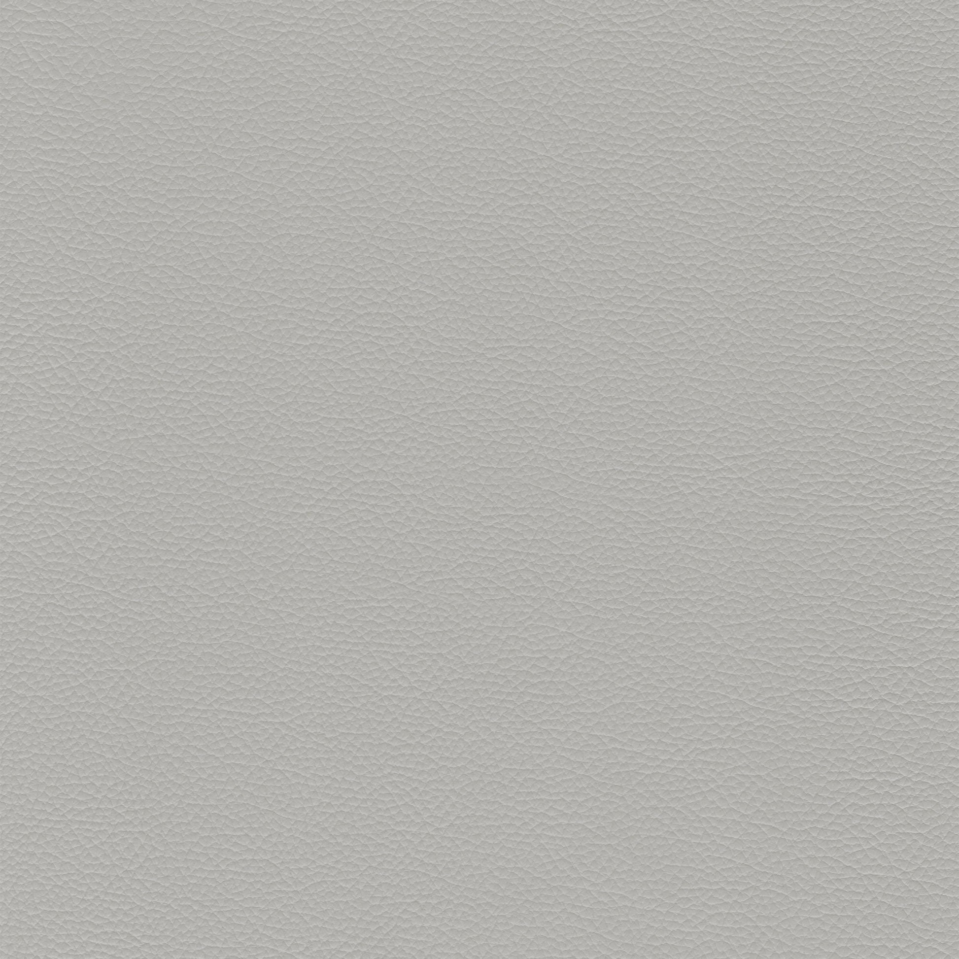 Sierra 316 Mist leather upholstery texture sample: light grey, pebbled finish.