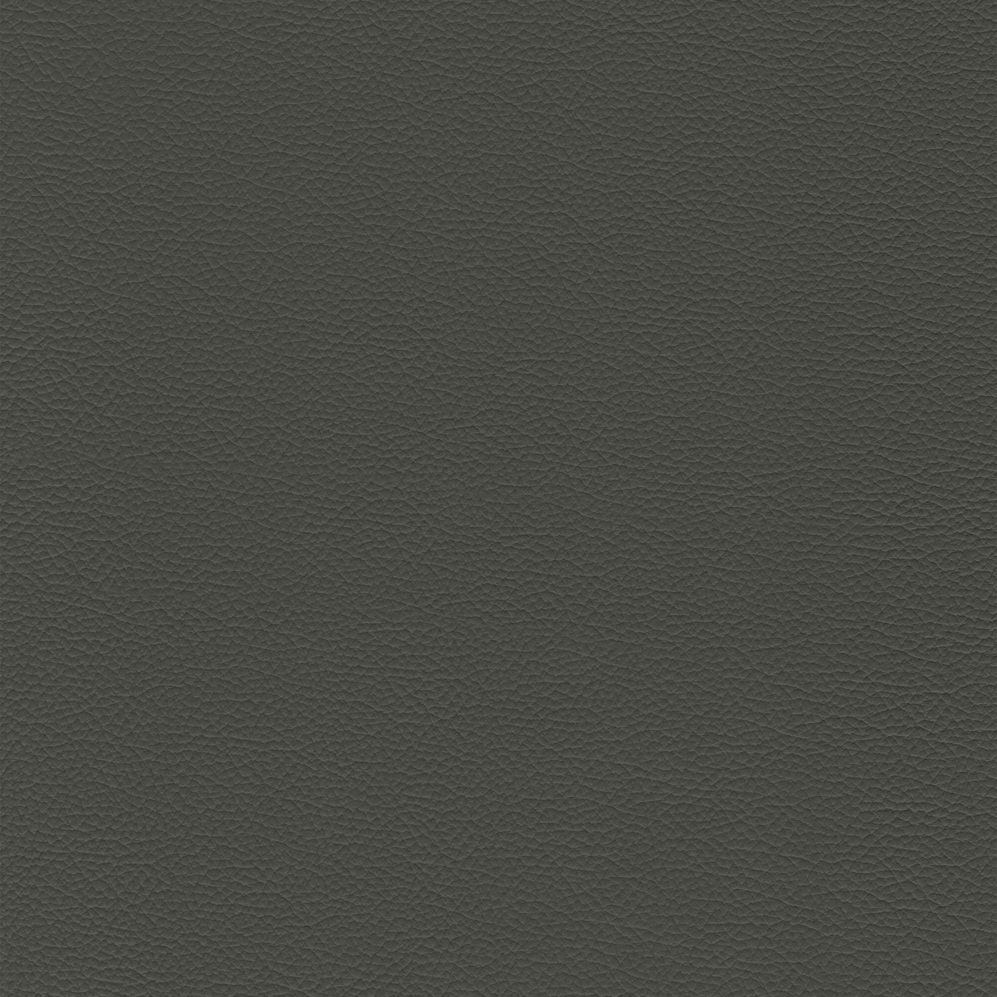 Sierra 323 Thunder dark gray textured leather swatch
