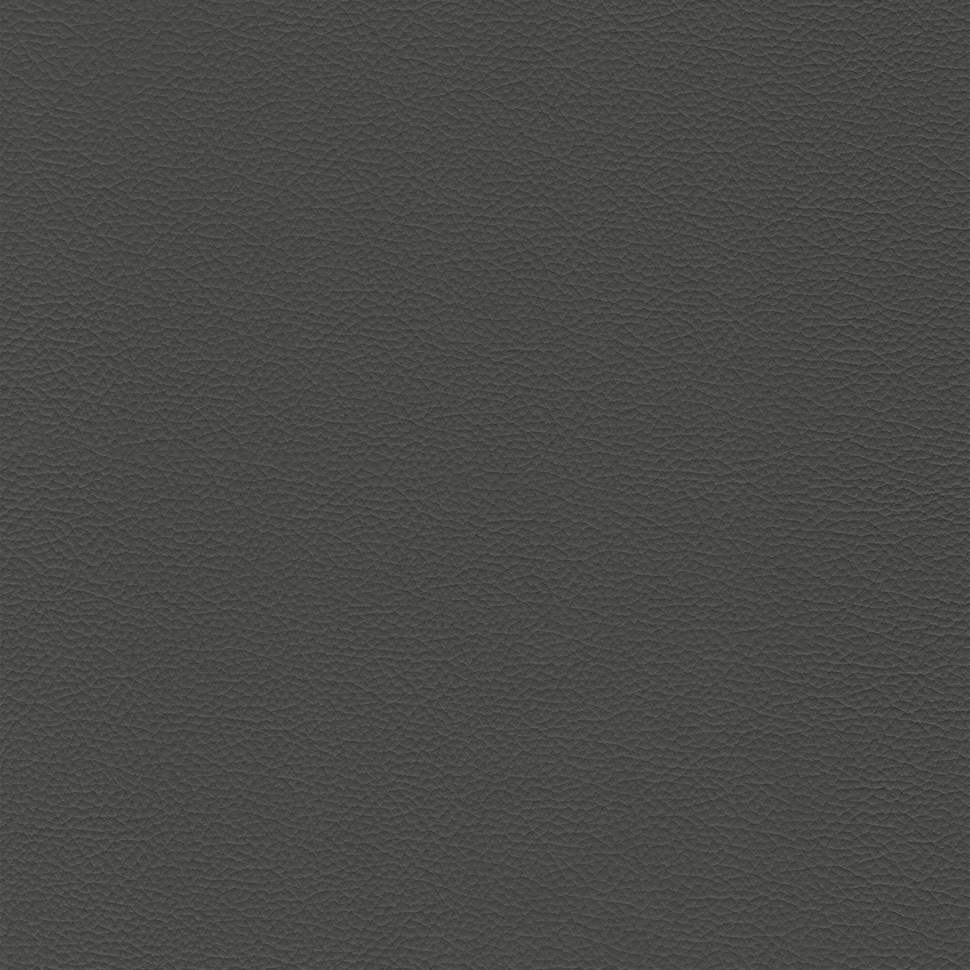 Sierra 323 Thunder dark gray textured leather swatch