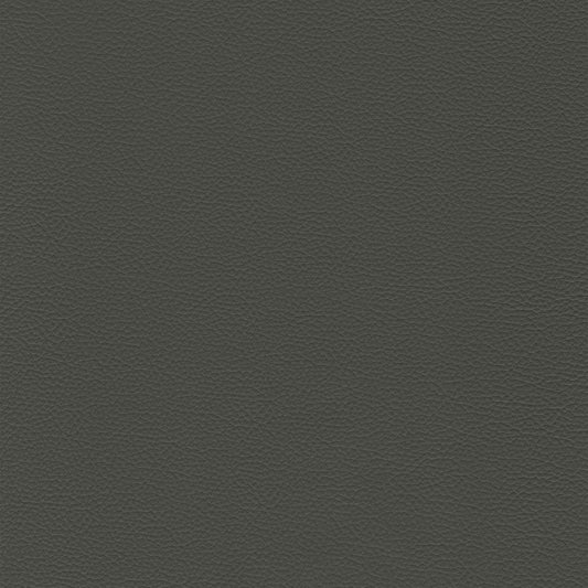 Sierra 323 Thunder dark gray textured leather swatch