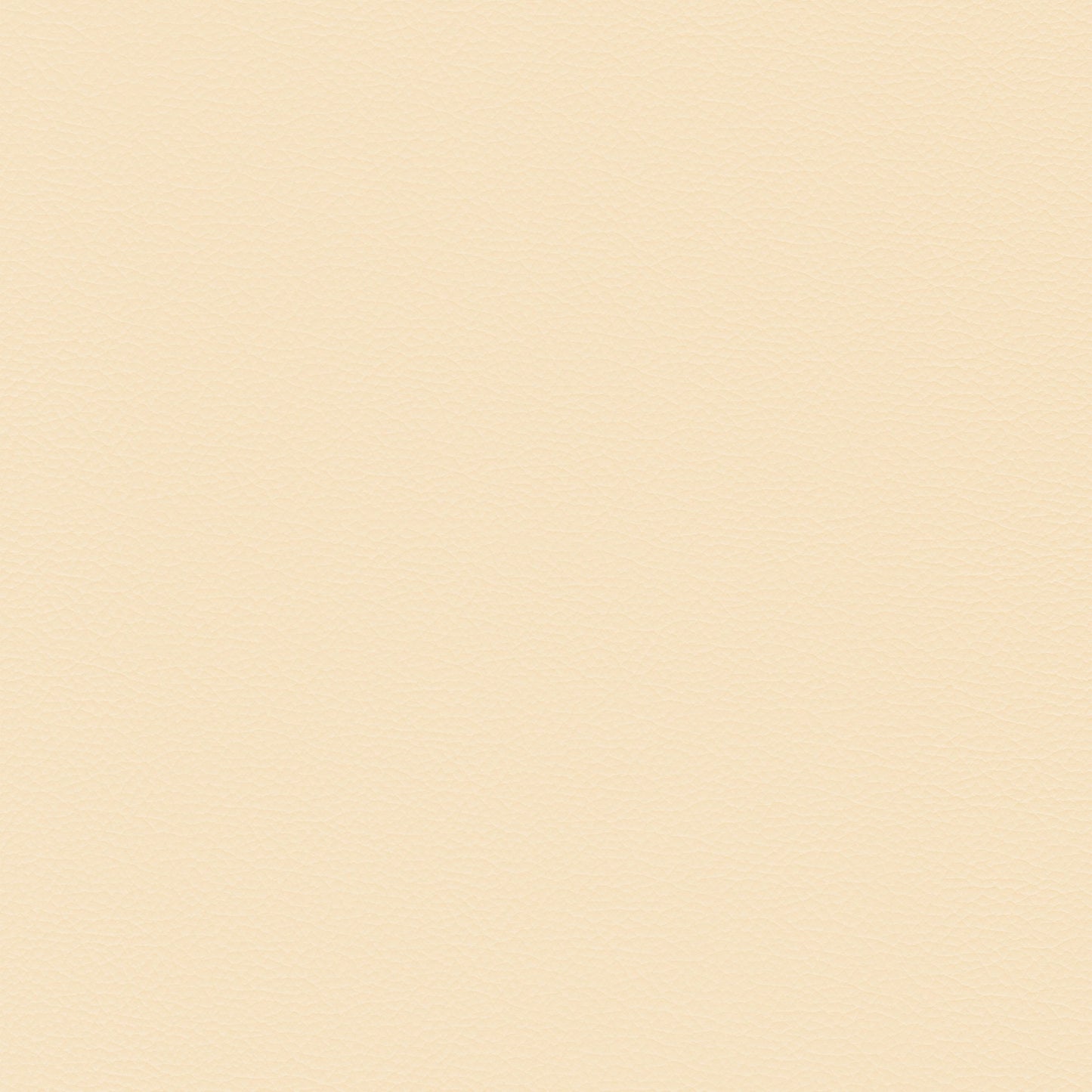 Sierra 332 Vanilla leather swatch