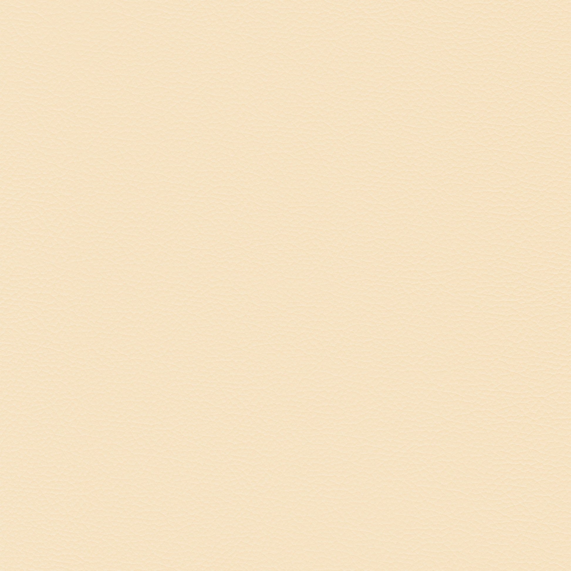 Sierra 332 Vanilla leather swatch