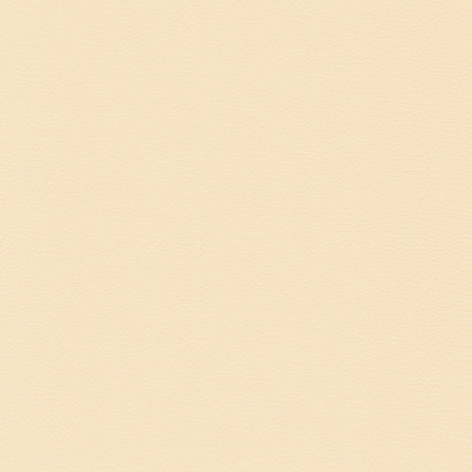 Sierra 332 Vanilla leather swatch
