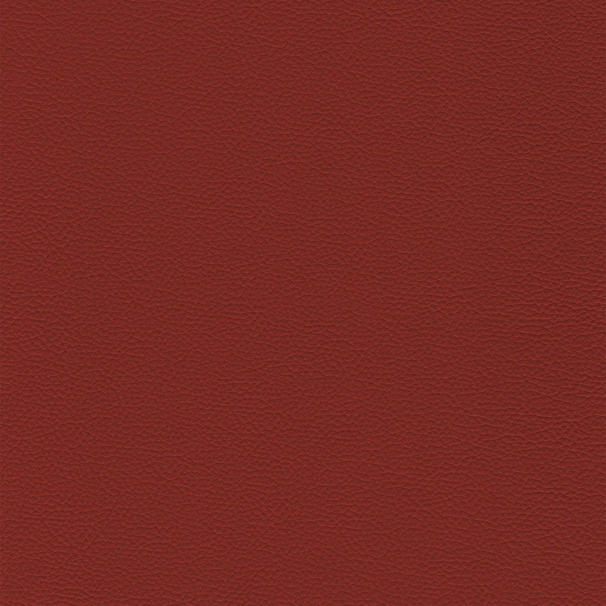 Sierra 340 Rouge textured leather swatch