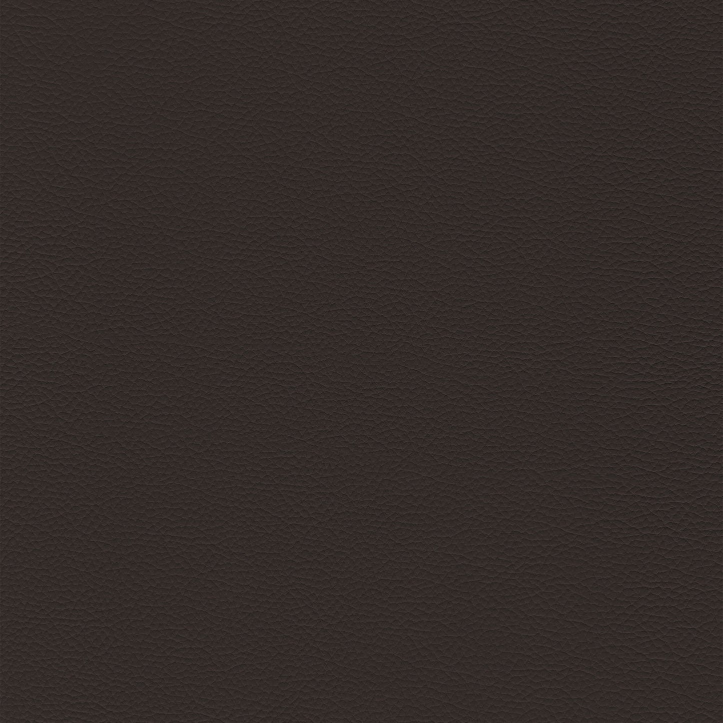 Sierra 358 Cafe dark brown textured leather swatch