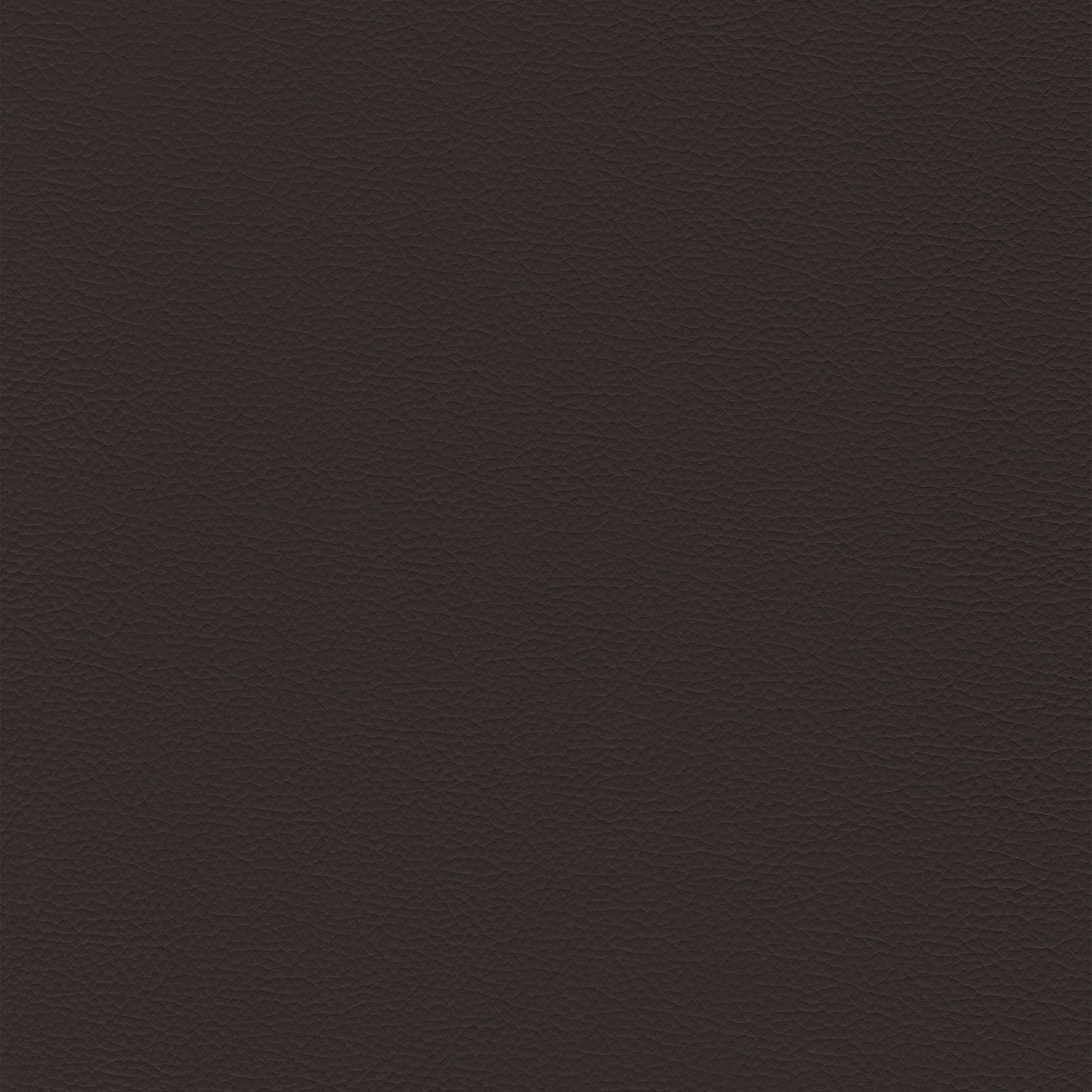 Sierra 358 Cafe dark brown textured leather swatch
