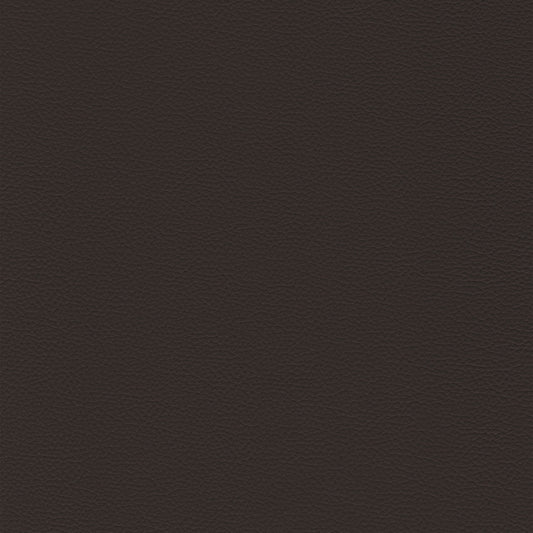 Sierra 358 Cafe dark brown textured leather swatch
