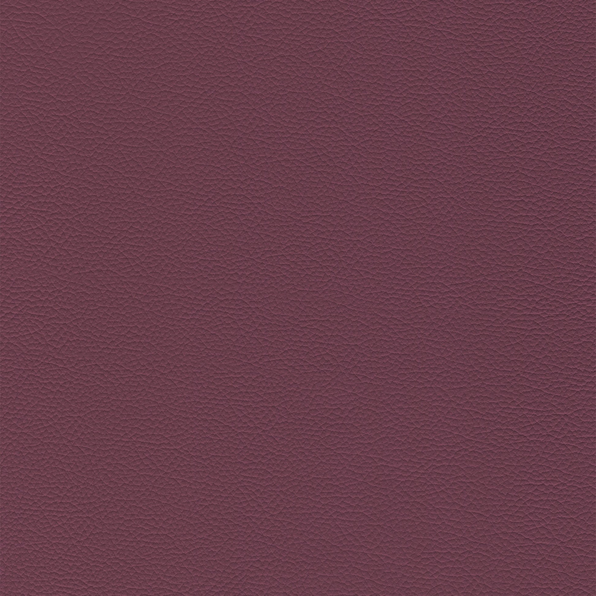 Sierra 366 Violet textured leather swatch