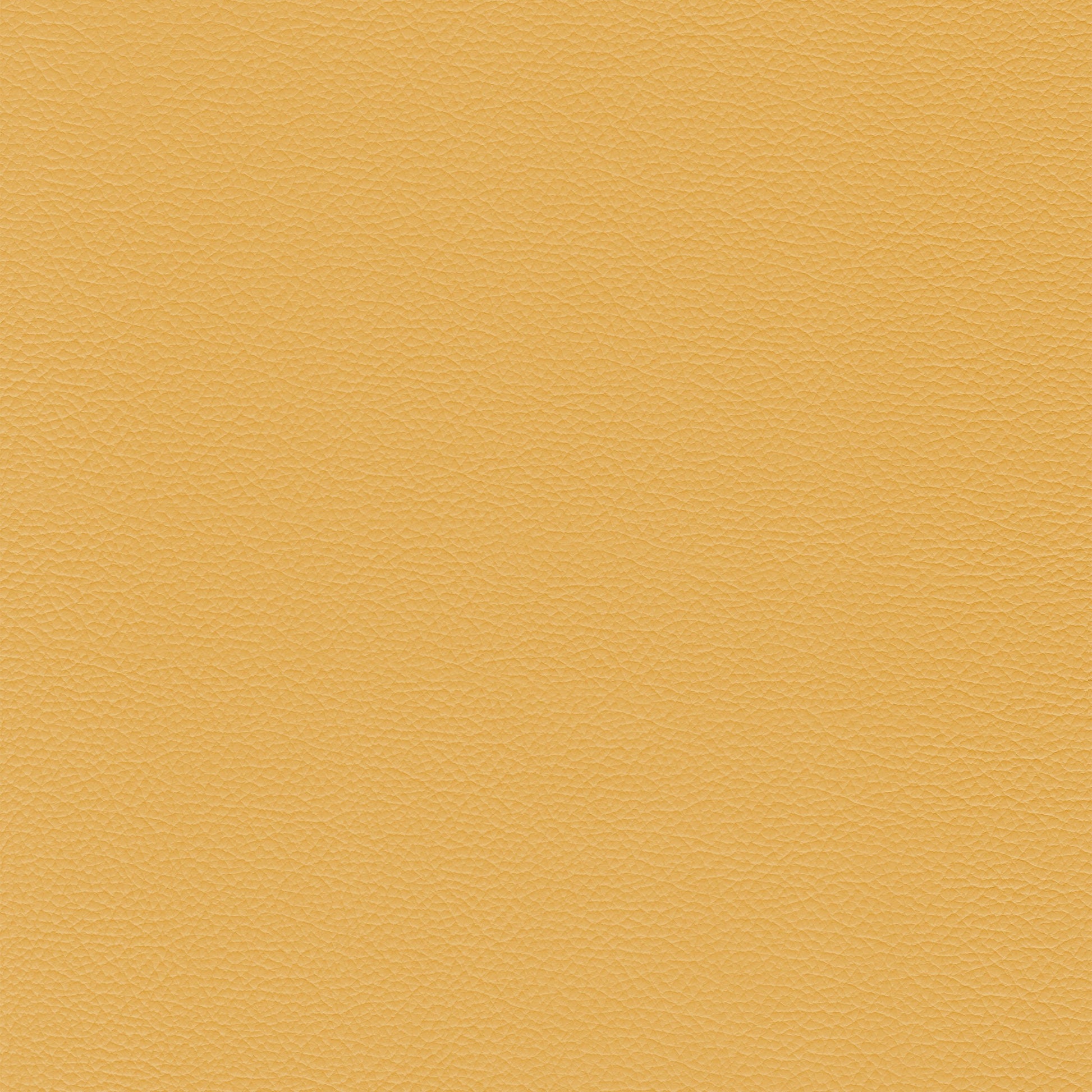 Sierra 367 Sunflower textured leather swatch