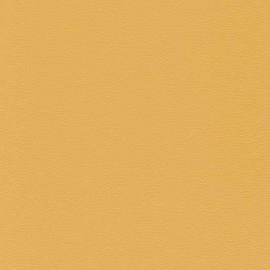 Sierra 367 Sunflower textured leather swatch