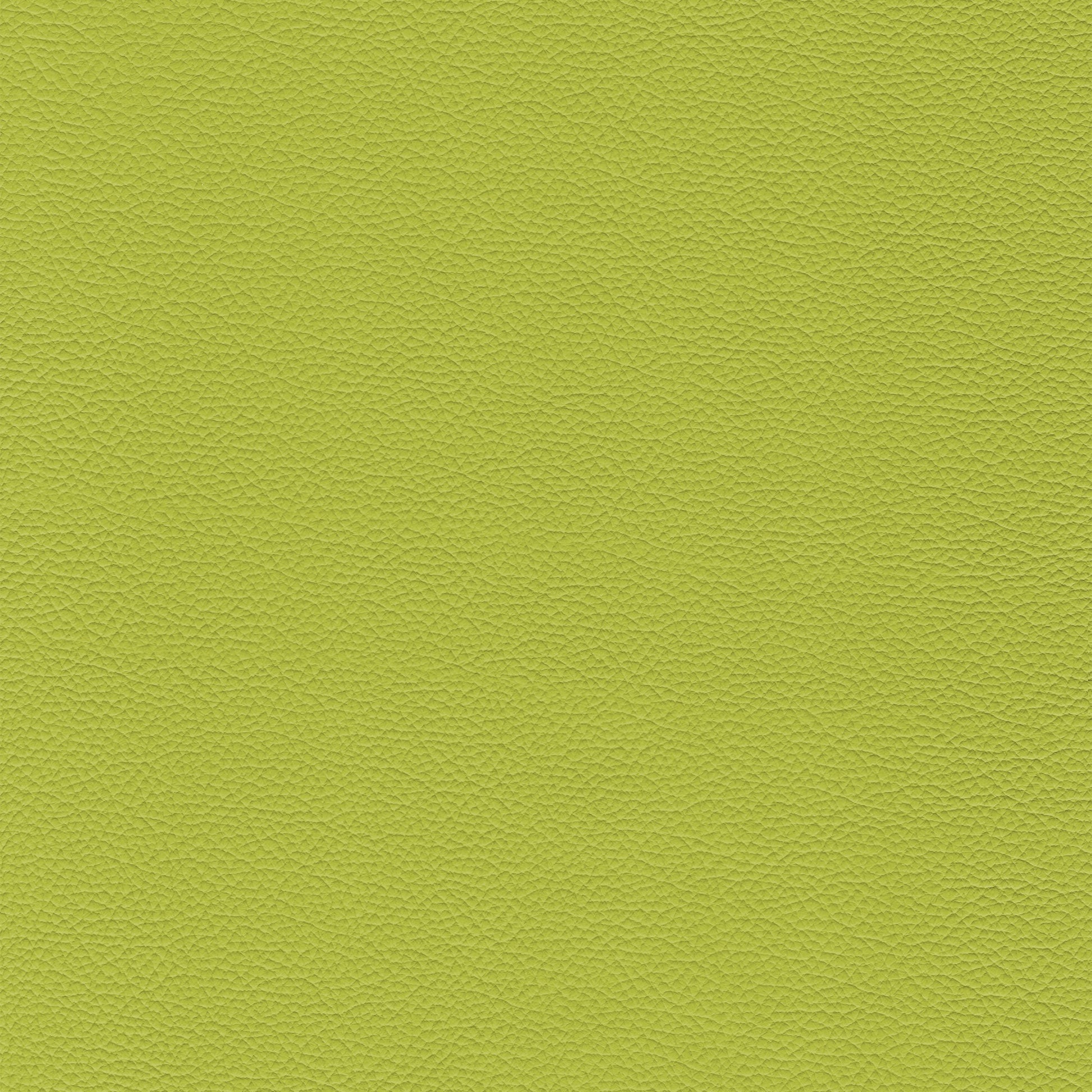 Sierra 407 Citron textured leather swatch.