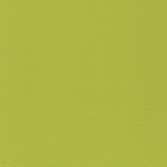 Sierra 407 Citron textured leather swatch.