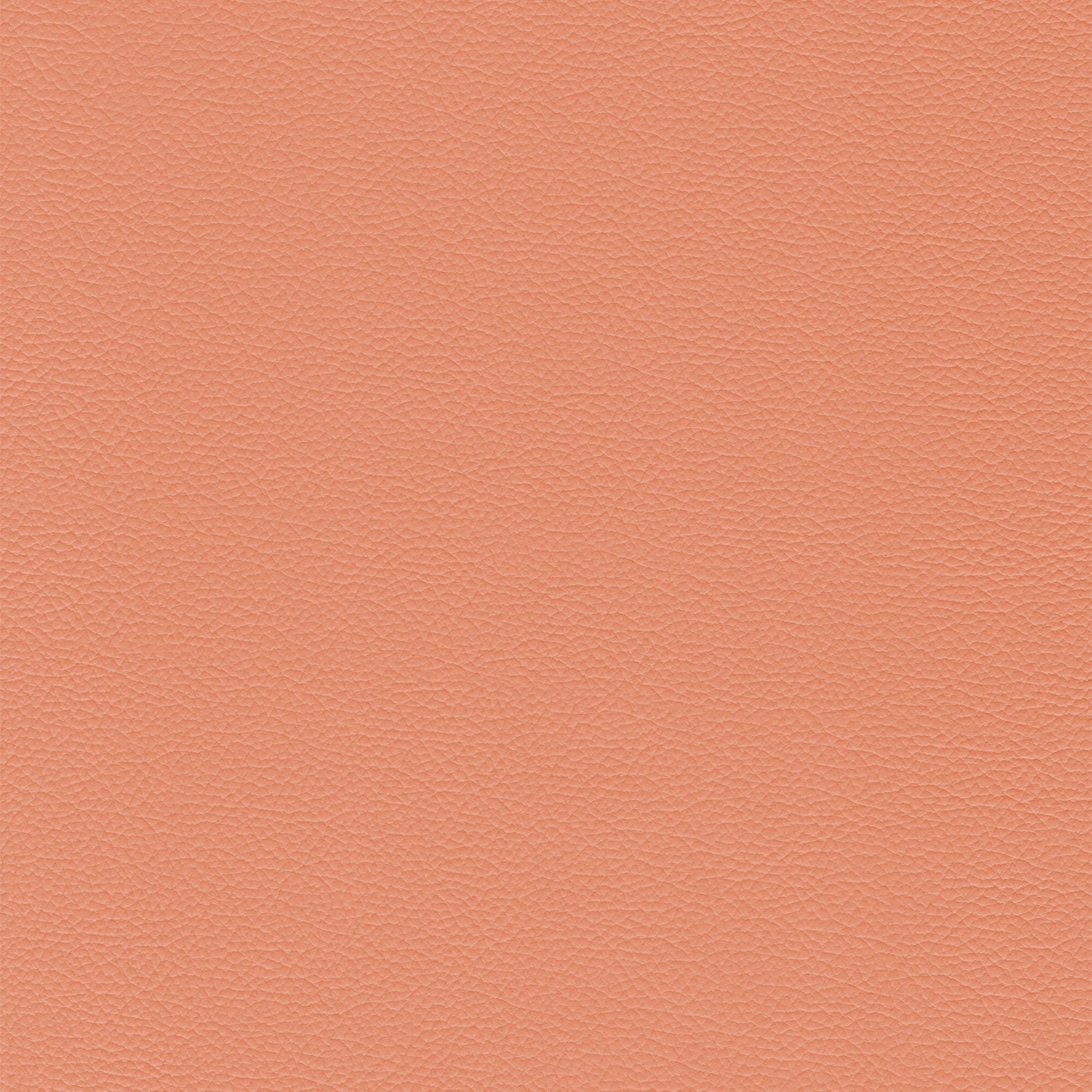 Sierra 440 Chablis peach leather texture swatch