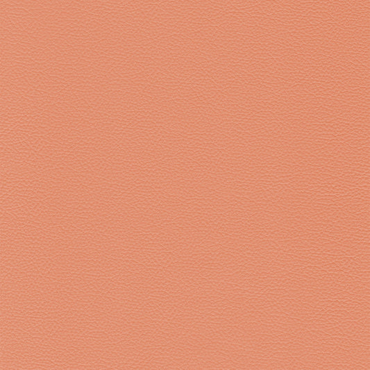 Sierra 440 Chablis peach leather texture swatch