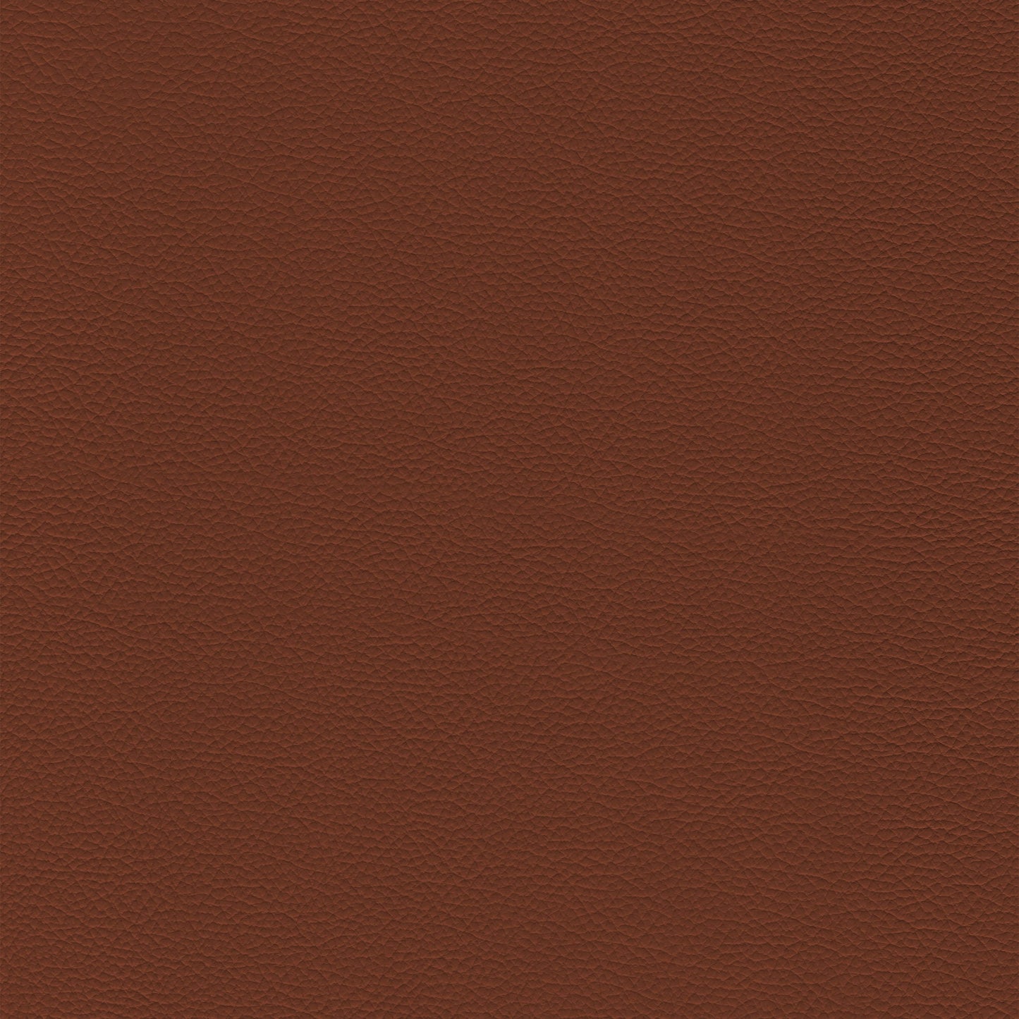 Sierra 4450 Saddle: Rich brown textured leather swatch.