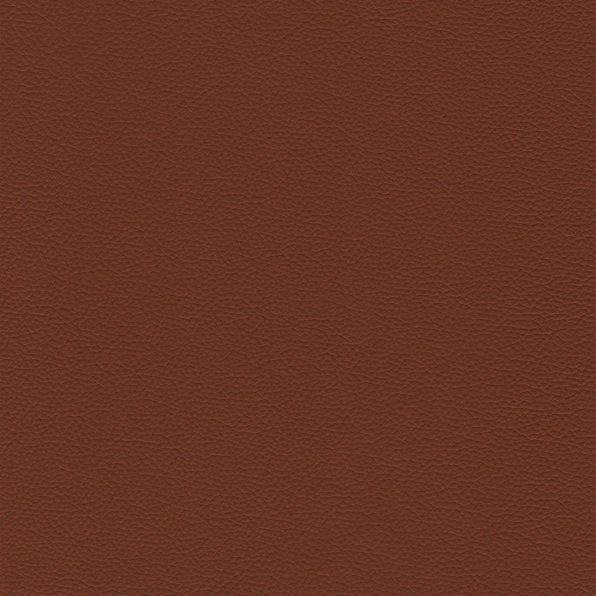 Sierra 4450 Saddle: Rich brown textured leather swatch.