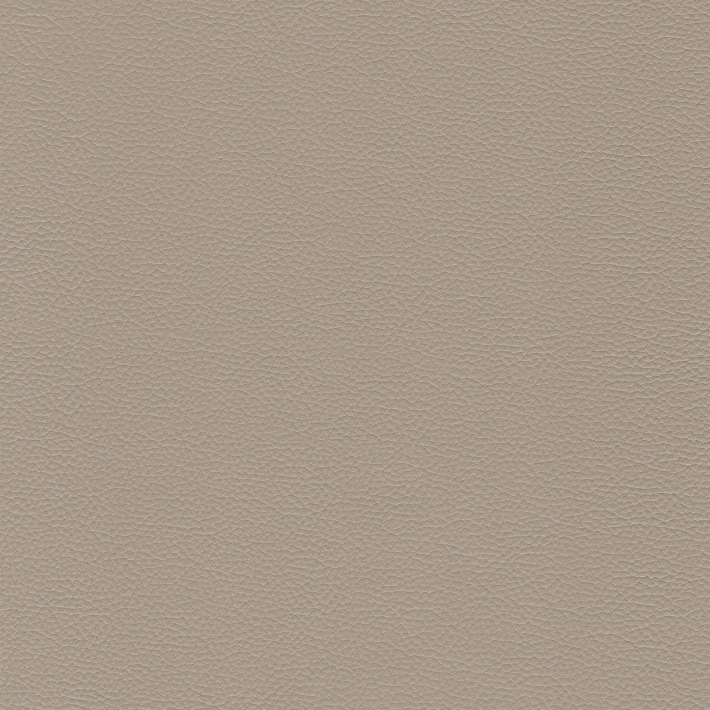 Sierra 4458 Taupe textured leather swatch