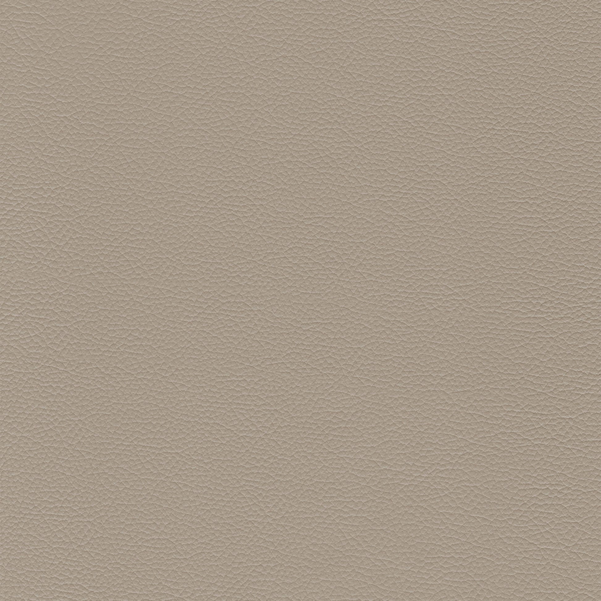 Sierra 4458 Taupe textured leather swatch