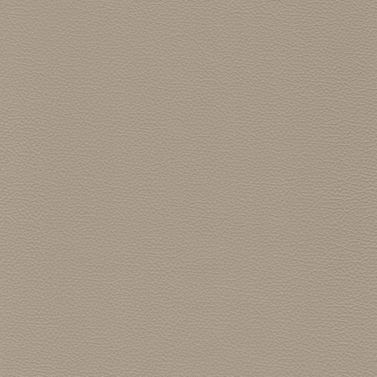 Sierra 4458 Taupe textured leather swatch