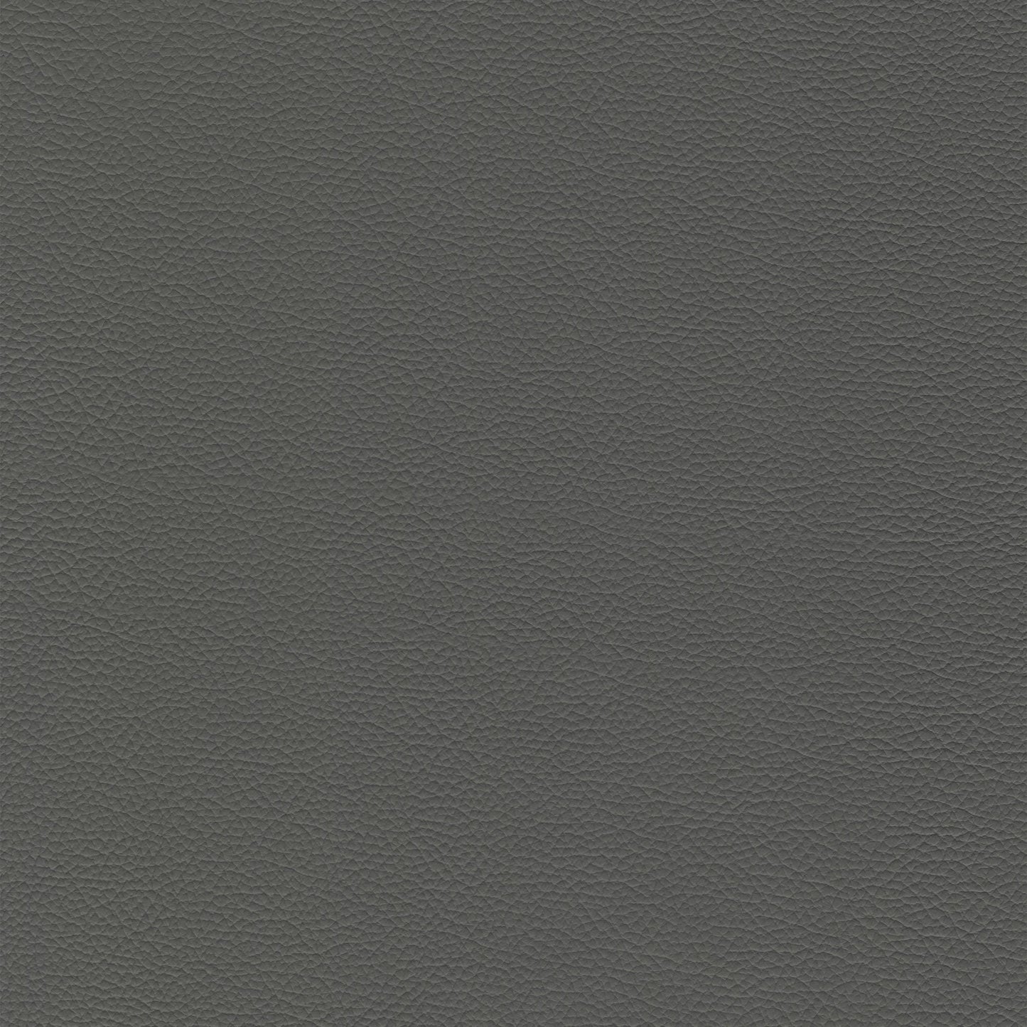 Sierra 4460 Ash: Dark gray textured leather swatch.