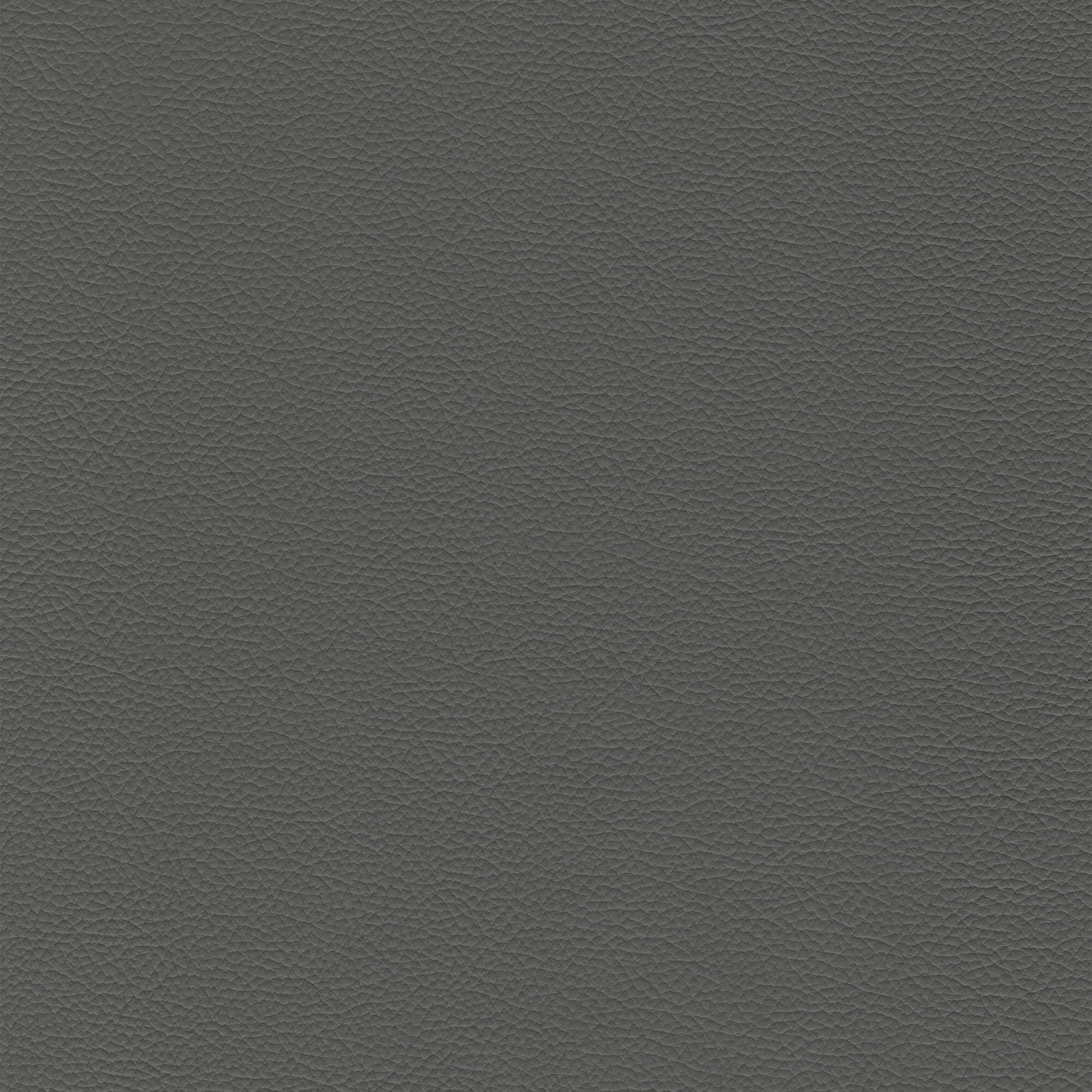 Sierra 4460 Ash: Dark gray textured leather swatch.