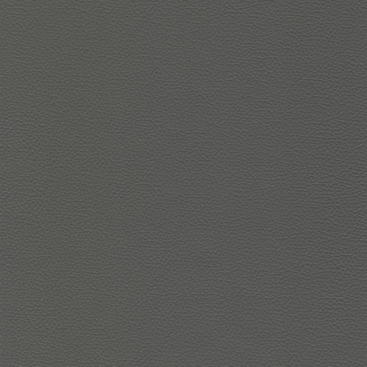 Sierra 4460 Ash: Dark gray textured leather swatch.