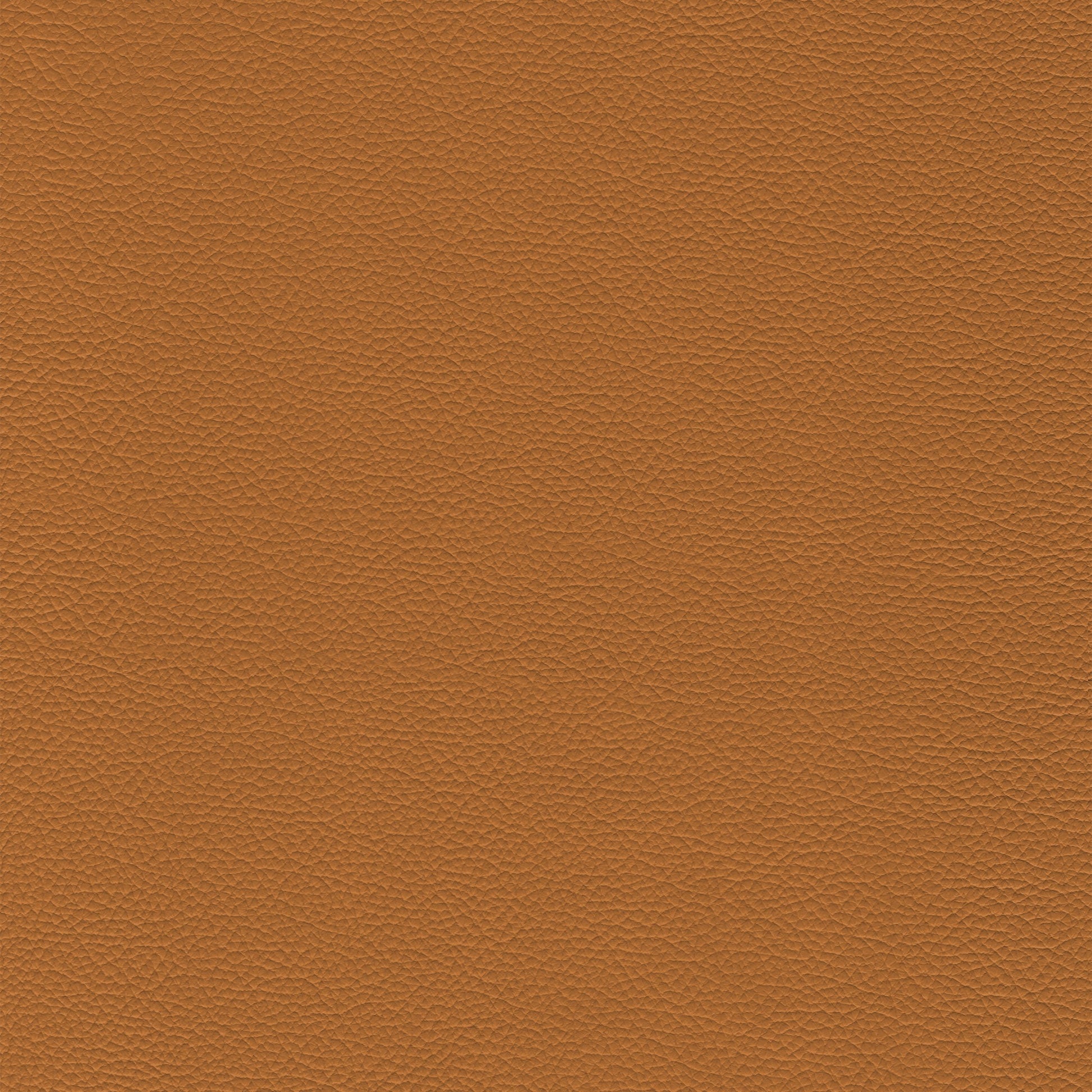 Sierra 4492 Muscat leather swatch: light brown, textured grain.