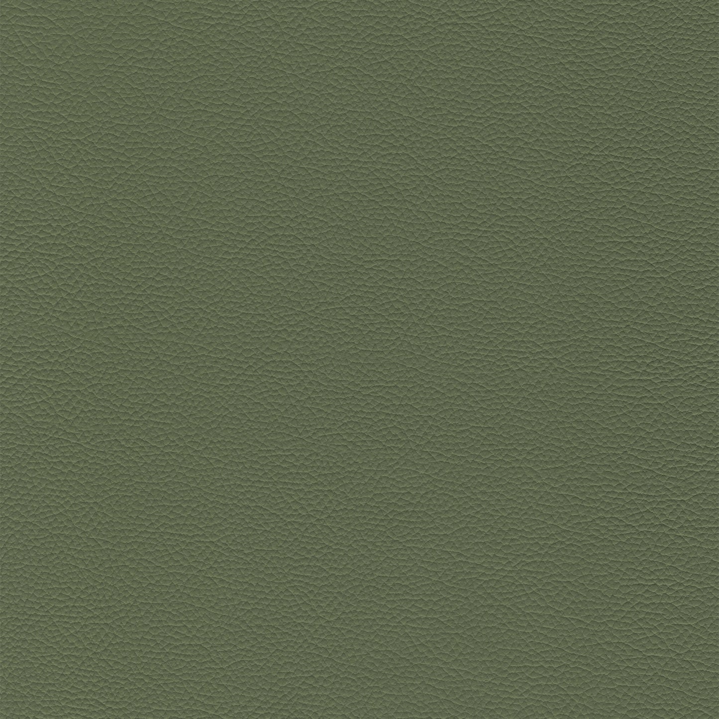 Sierra 460 Wintergreen textured leather swatch