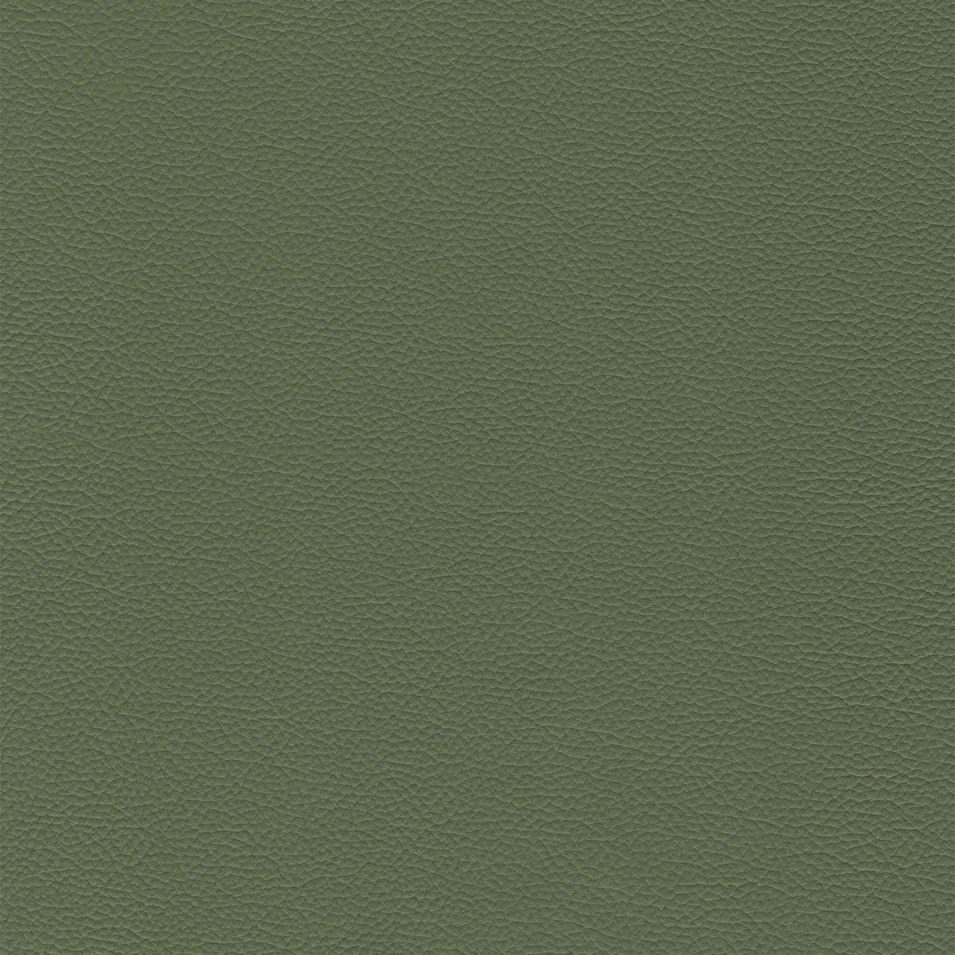 Sierra 460 Wintergreen textured leather swatch
