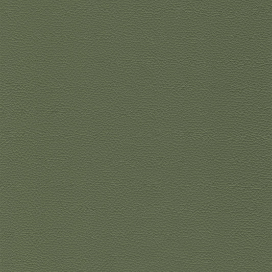 Sierra 460 Wintergreen textured leather swatch
