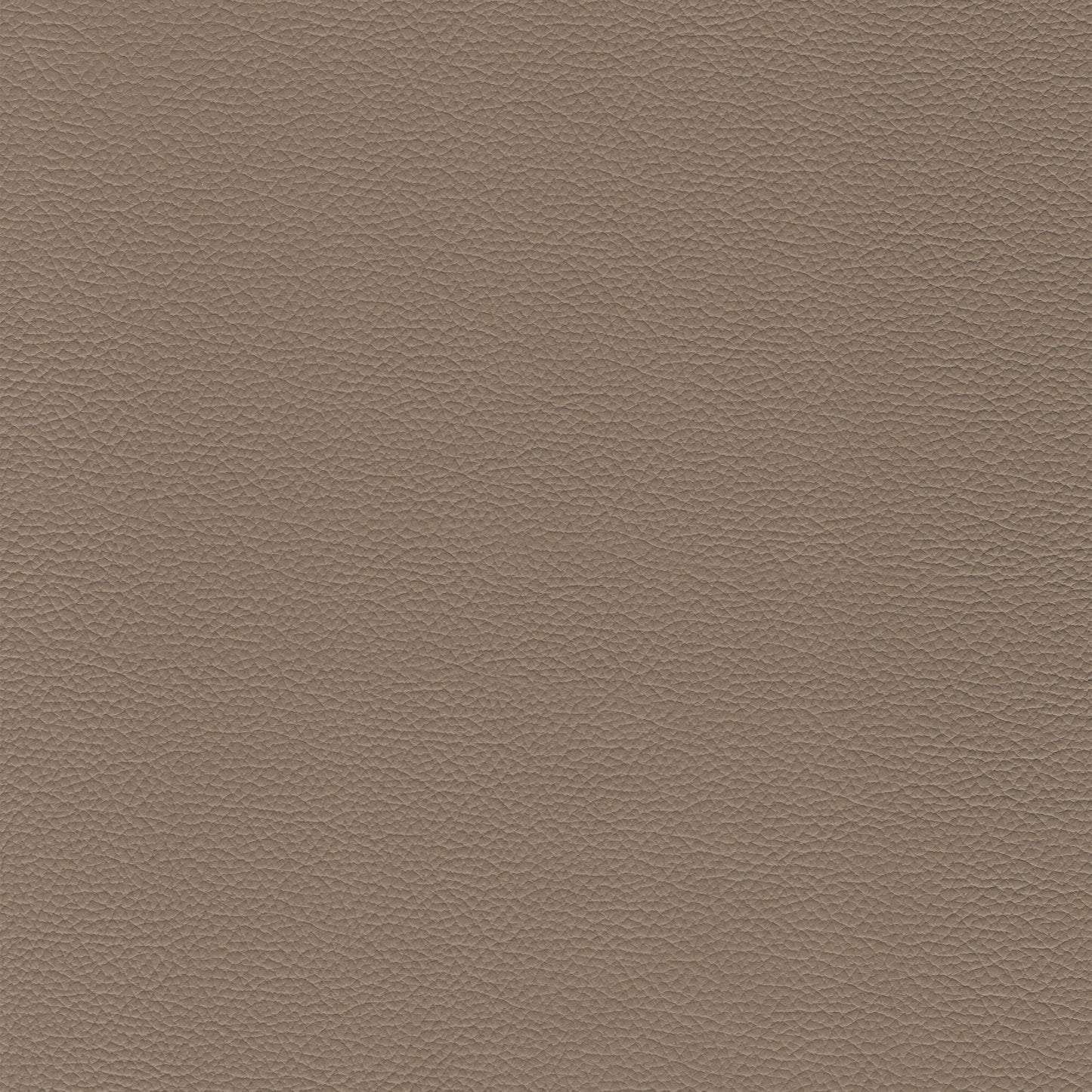 Sierra 611 Mushroom: Taupe textured leather swatch.