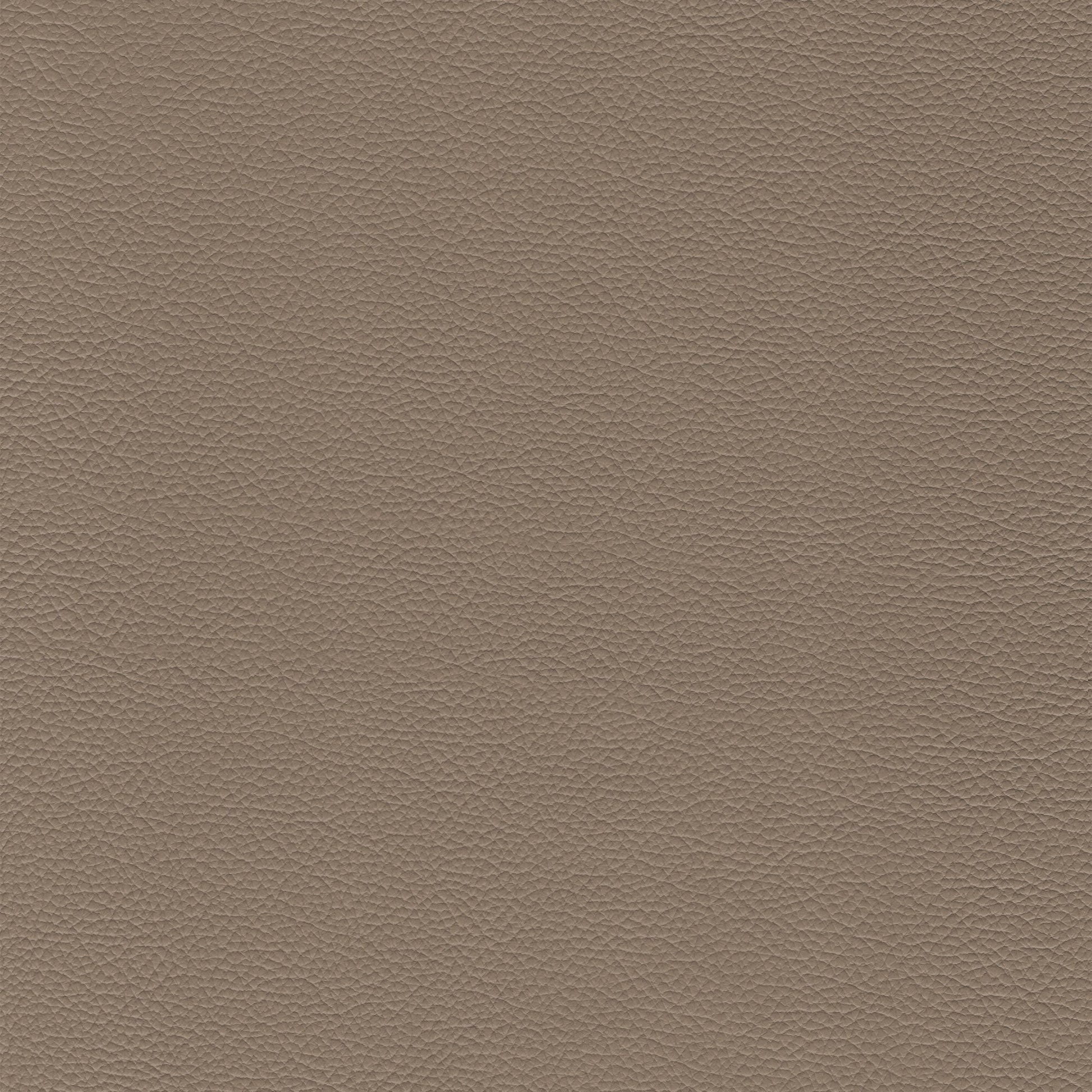 Sierra 611 Mushroom: Taupe textured leather swatch.