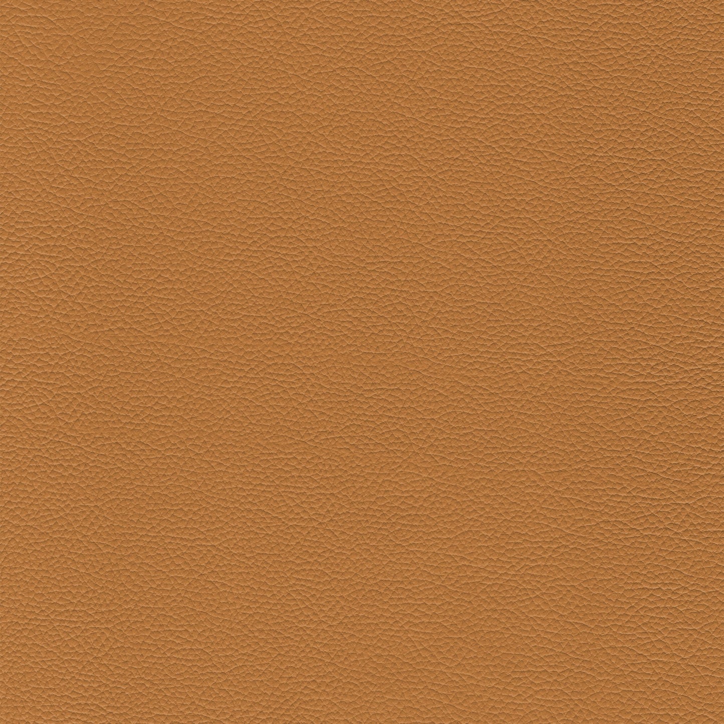 Sierra 677 Camel leather texture swatch