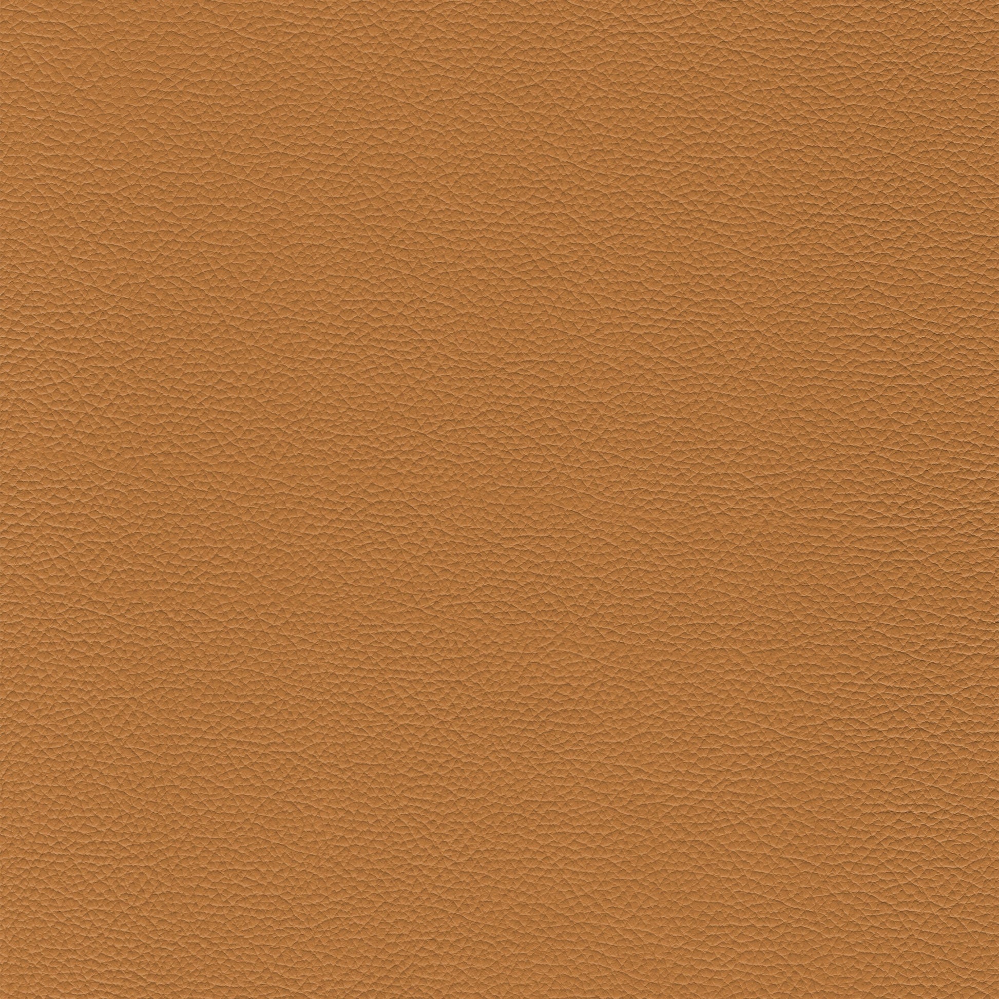 Sierra 677 Camel leather texture swatch